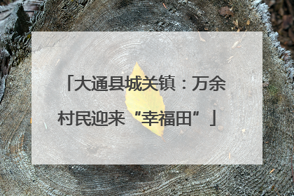 大通县城关镇：万余村民迎来“幸福田”