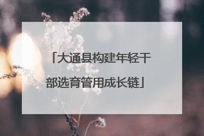 大通县构建年轻干部选育管用成长链