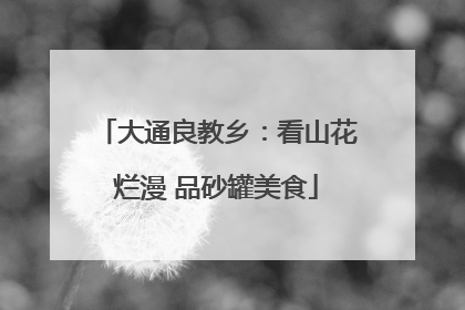 大通良教乡：看山花烂漫 品砂罐美食