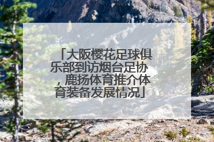 大阪樱花足球俱乐部到访烟台足协，鹿扬体育推介体育装备发展情况