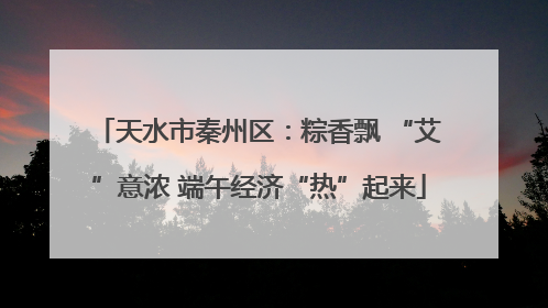 天水市秦州区：粽香飘 “艾”意浓 端午经济“热”起来