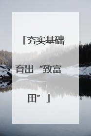 夯实基础育出“致富田”