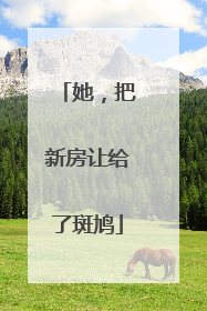 她，把新房让给了斑鸠