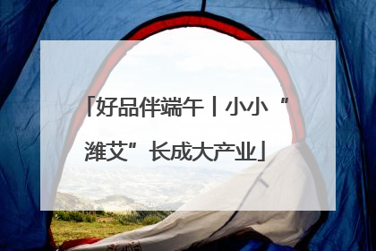 好品伴端午丨小小“潍艾”长成大产业