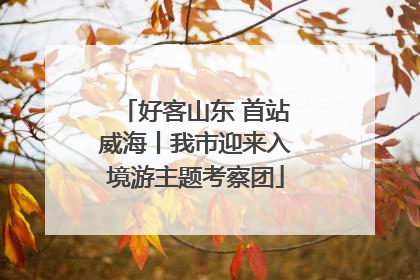 好客山东 首站威海丨我市迎来入境游主题考察团