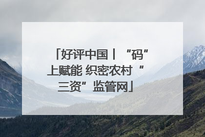 好评中国丨“码”上赋能 织密农村“三资”监管网
