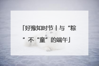 好豫知时节丨与“粽”不“童”的端午