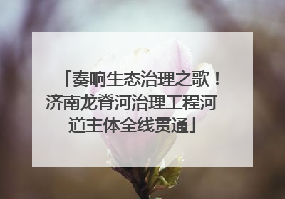 奏响生态治理之歌！济南龙脊河治理工程河道主体全线贯通