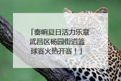 奏响夏日活力乐章 武昌区杨园街道篮球赛火热开赛！