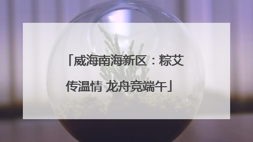 威海南海新区：粽艾传温情 龙舟竞端午