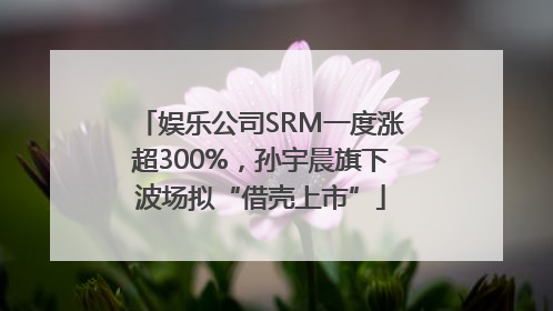 娱乐公司SRM一度涨超300%，孙宇晨旗下波场拟“借壳上市”