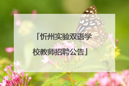 忻州实验双语学校教师招聘公告