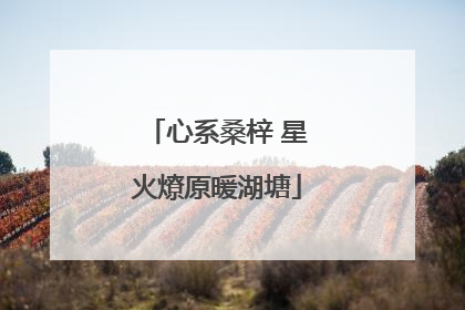 心系桑梓 星火燎原暖湖塘