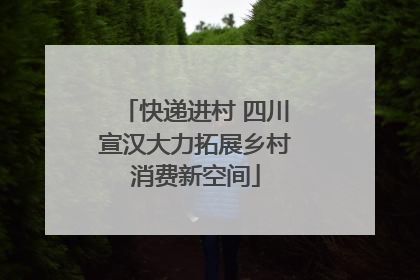 快递进村 四川宣汉大力拓展乡村消费新空间