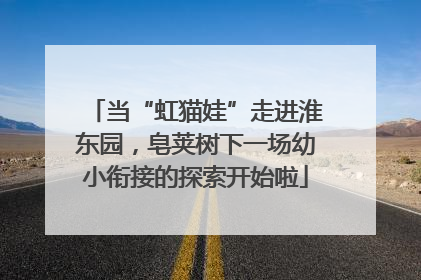 当“虹猫娃”走进淮东园，皂荚树下一场幼小衔接的探索开始啦