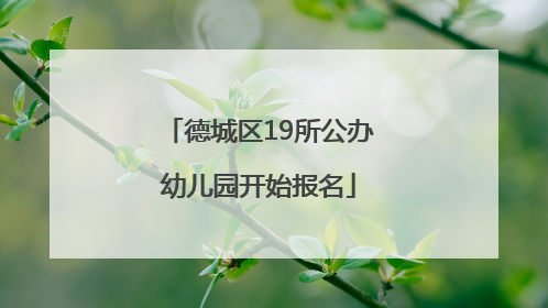 德城区19所公办幼儿园开始报名