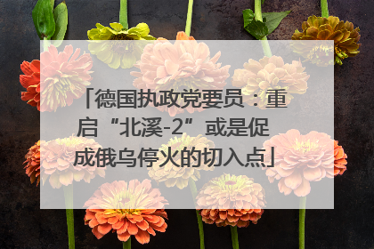 德国执政党要员：重启“北溪-2”或是促成俄乌停火的切入点