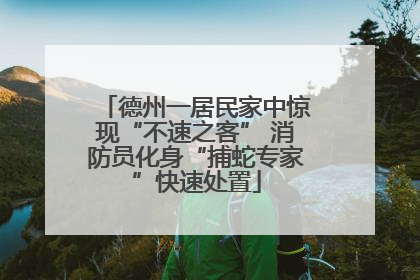 德州一居民家中惊现“不速之客” 消防员化身“捕蛇专家”快速处置