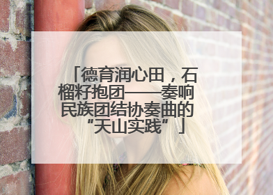 德育润心田，石榴籽抱团——奏响民族团结协奏曲的“天山实践”