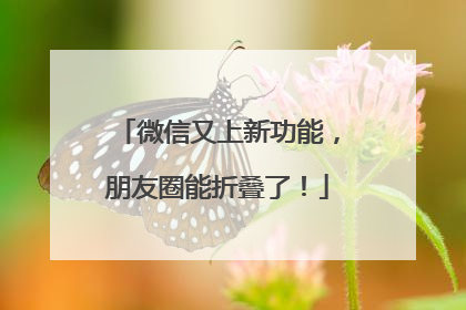 微信又上新功能，朋友圈能折叠了！