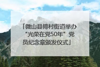 微山县傅村街道举办“光荣在党50年”党员纪念章颁发仪式