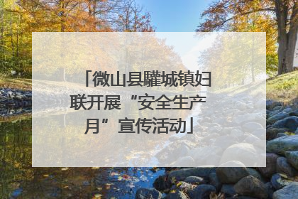 微山县驩城镇妇联开展“安全生产月”宣传活动