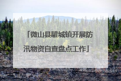 微山县驩城镇开展防汛物资自查盘点工作