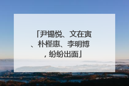 尹锡悦、文在寅、朴槿惠、李明博,纷纷出面