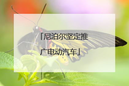 尼泊尔坚定推广电动汽车