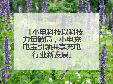 小电科技以科技力量破局，小电充电宝引领共享充电行业新发展