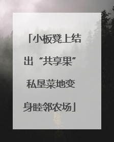 小板凳上结出“共享果” 私垦菜地变身睦邻农场