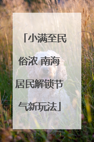 小满至民俗浓 南海居民解锁节气新玩法