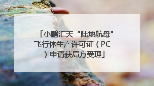 小鹏汇天“陆地航母”飞行体生产许可证（PC）申请获局方受理