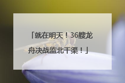 就在明天！36艘龙舟决战监北干渠！
