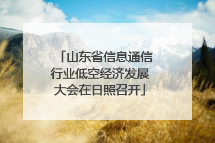 山东省信息通信行业低空经济发展大会在日照召开