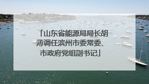 山东省能源局局长胡薄调任滨州市委常委、市政府党组副书记