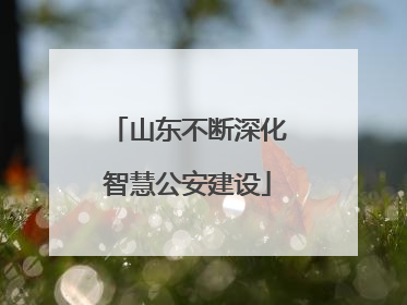 山东不断深化智慧公安建设