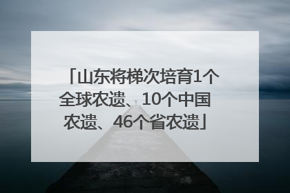 山东将梯次培育1个全球农遗、10个中国农遗、46个省农遗