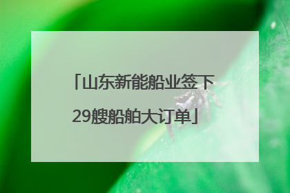 山东新能船业签下29艘船舶大订单