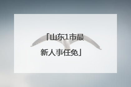 山东1市最新人事任免