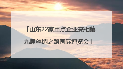 山东22家重点企业亮相第九届丝绸之路国际博览会