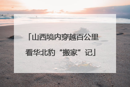 山西境内穿越百公里 看华北豹“搬家”记