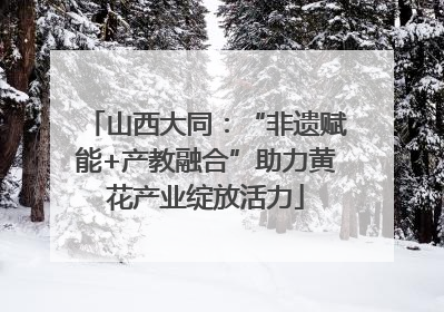 山西大同：“非遗赋能+产教融合”助力黄花产业绽放活力