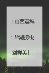 山西运城：盐湖捞虫别样美