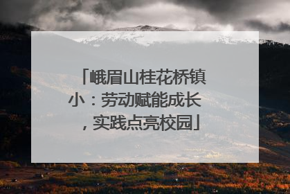 峨眉山桂花桥镇小：劳动赋能成长，实践点亮校园