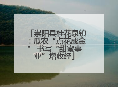 崇阳县桂花泉镇：瓜农“点花成金” 书写“甜蜜事业”增收经