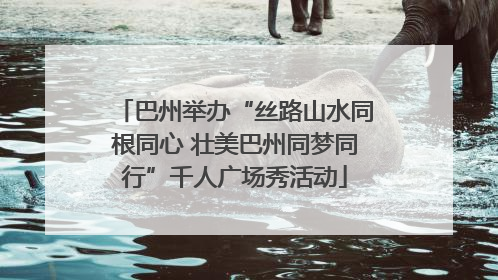 巴州举办“丝路山水同根同心 壮美巴州同梦同行”千人广场秀活动