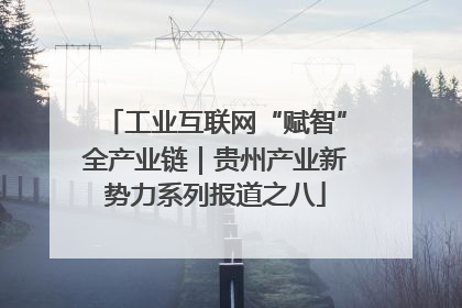 工业互联网“赋智”全产业链｜贵州产业新势力系列报道之八