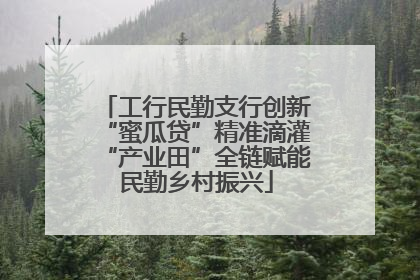 工行民勤支行创新“蜜瓜贷”精准滴灌“产业田”全链赋能民勤乡村振兴