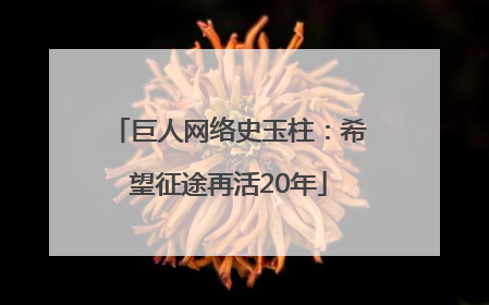 巨人网络史玉柱：希望征途再活20年